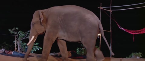 Adventures of Tarzan (1985) Web-DL 1080p h264 [Hindi]
