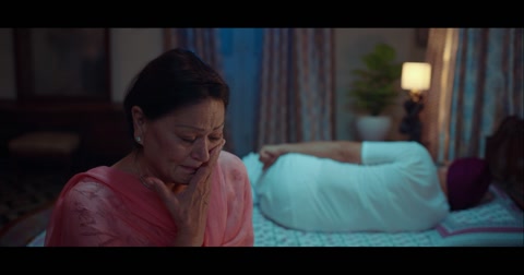 Gudiya (2023) Web-DL 1080p h264 [Punjabi]