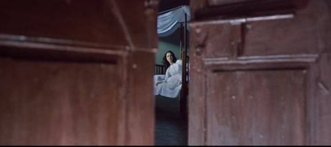 Download 1920: Evil Returns (2012) Web-DL 1080p h264 [Hindi] | Filmy21