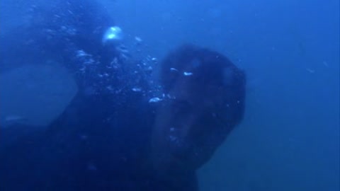 Shark Attack 2 (2000) Web-DL 720p hevc [Hindi-English]