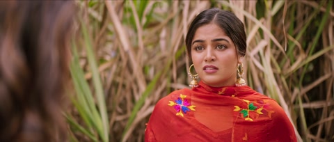 Nikka Zaildar 3 (2019) Web-DL 1080p h264 [Punjabi]
