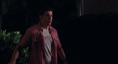 American Reunion (2012) BluRay 1080p h264 [Hindi-English]