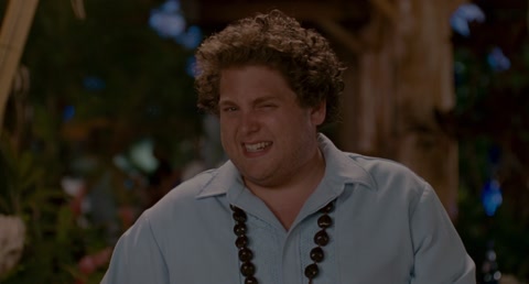 Forgetting Sarah Marshall (2008) BluRay 1080p hevc [Hindi-English]