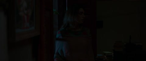 Sufiyum Sujatayum (2020) Web-DL 1080p hevc [Hindi-Malayalam]