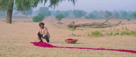 Shayar (2024) Web-DL 1080p h264 [Punjabi]