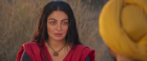 Shayar (2024) Web-DL 1080p h264 [Punjabi]