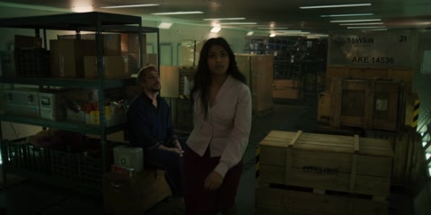 Fight or Flight (2024) Web-DL 1080p h264 [Hindi-English]