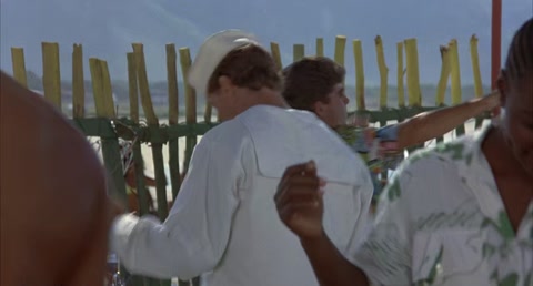 Wild Orchid (1989) BluRay 720p hevc [Hindi-English]