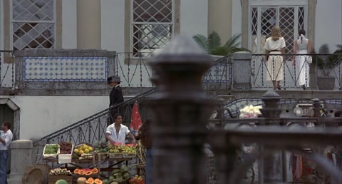 Wild Orchid (1989) BluRay 720p hevc [Hindi-English]
