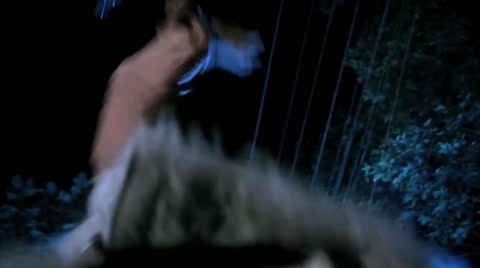 Iron Monkey 2 (1996) BluRay 720p h264 [Hindi-English]