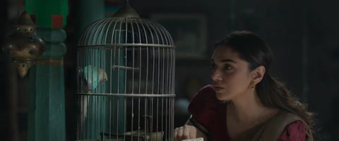 Sufiyum Sujatayum (2020) Web-DL 480p h264 [Hindi-Malayalam]