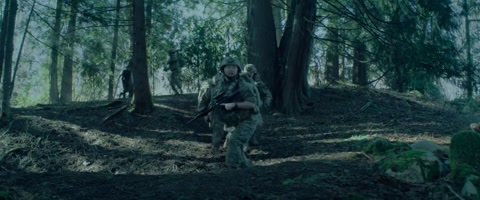 Valiant One (2025) Web-DL 720p hevc [Hindi-English]