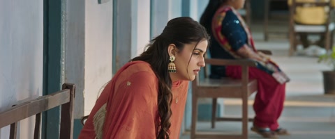 Rose Rosy Te Gulab (2024) Web-DL 720p hevc [Punjabi]