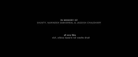 Teriyaan Meriyaan Hera Pheriyan (2024) Web-DL 1080p h264 [Punjabi]