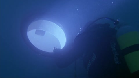 Shark Attack 2 (2000) Web-DL 1080p h264 [Hindi-English]