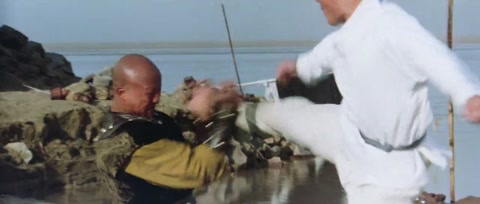 The Shaolin Temple (1982) BluRay 720p h264 [Hindi-Chinese]