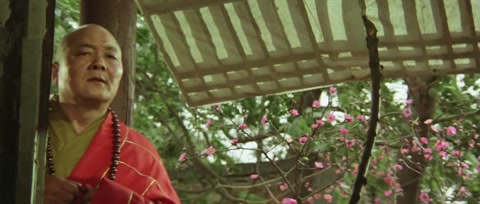 The Shaolin Temple (1982) BluRay 720p h264 [Hindi-Chinese]