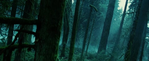 Twilight (2008) BluRay 720p h264 [Hindi-English]