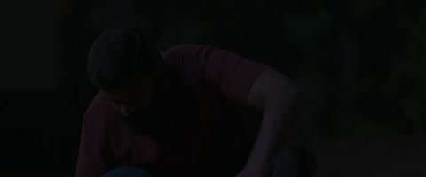 Sufiyum Sujatayum (2020) Web-DL 1080p h264 [Hindi-Malayalam]