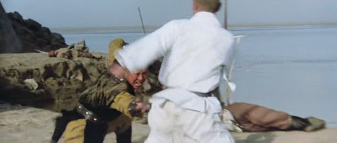 The Shaolin Temple (1982) BluRay 720p hevc [Hindi-Chinese]