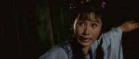 The Shaolin Temple (1982) BluRay 720p hevc [Hindi-Chinese]