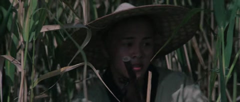 The Shaolin Temple (1982) BluRay 720p hevc [Hindi-Chinese]
