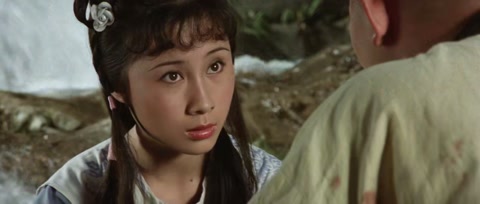 The Shaolin Temple (1982) BluRay 720p hevc [Hindi-Chinese]