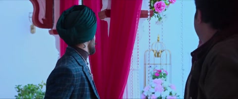 Wild Wild Punjab (2024) Web-DL 720p h264 [Hindi-Telugu-English-Tamil]