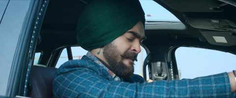 Wild Wild Punjab (2024) Web-DL 720p h264 [Hindi-Telugu-English-Tamil]