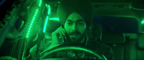 Wild Wild Punjab (2024) Web-DL 720p h264 [Hindi-Telugu-English-Tamil]