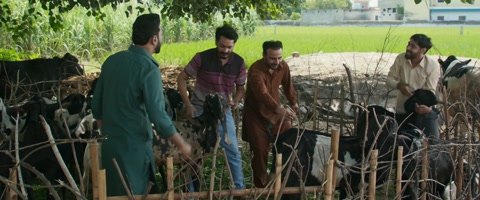 Jatt Nuu Chudail Takri (2024) Web-DL 1080p h264 [Punjabi]