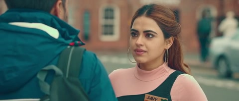 Chal Mera Putt (2019) Web-DL 480p h264 [Punjabi]