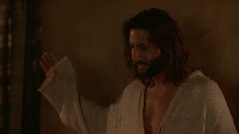 The Gospel of John (2003) BluRay 1080p hevc [Hindi-English]