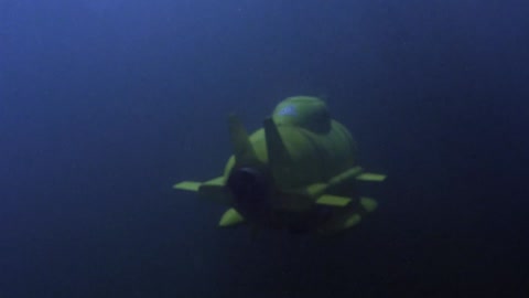 Shark Attack 3: Megalodon (2002) Web-DL 1080p h264 [Hindi-English]