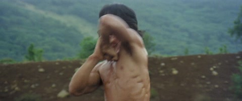 The Fearless Hyena (1979) BluRay 1080p h264 [Hindi-Chinese]
