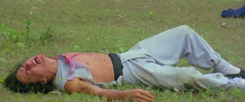 The Fearless Hyena (1979) BluRay 1080p h264 [Hindi-Chinese]