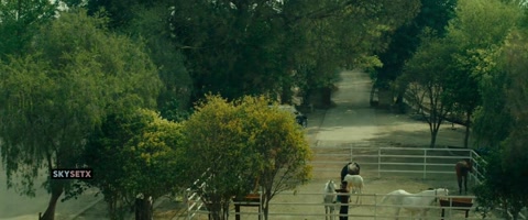 Majhail (2025) HDRip 720p h264 [Punjabi]