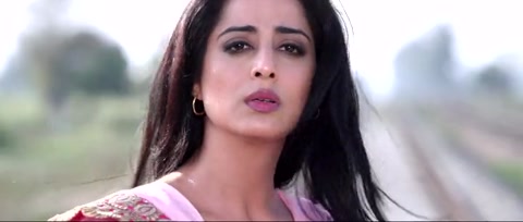 Shareek (2015) Web-DL 480p h264 [Punjabi]
