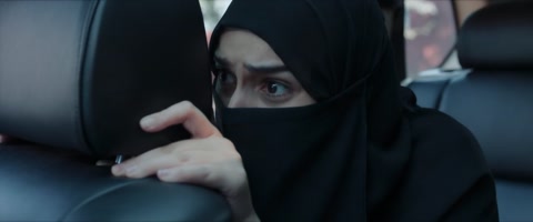 The Diplomat (2025) Web-DL 720p h264 [Hindi]