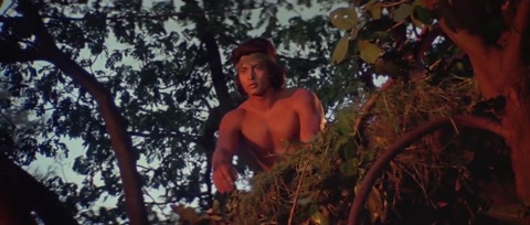 Adventures of Tarzan (1985) Web-DL 720p h264 [Hindi]