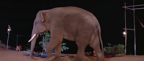 Adventures of Tarzan (1985) Web-DL 720p h264 [Hindi]