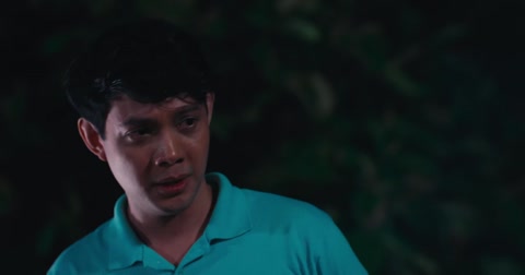 Ligaw (2025) Web-DL 720p hevc [Tagalog]