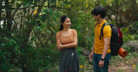 Ligaw (2025) Web-DL 720p hevc [Tagalog]