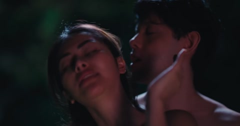 Ligaw (2025) Web-DL 720p hevc [Tagalog]