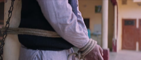 Nikka Zaildar 3 (2019) Web-DL 1080p h264 [Punjabi]