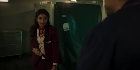 Fight or Flight (2024) Web-DL 720p hevc [Hindi-English]
