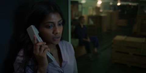Fight or Flight (2024) Web-DL 720p hevc [Hindi-English]