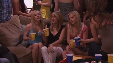 American Pie Presents: The Book of Love (2009) BluRay 480p h264 [Hindi-English]