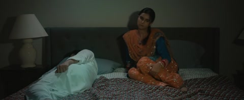 Sardara and Sons (2023) Web-DL 720p h264 [Punjabi]