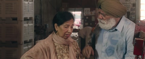 Sardara and Sons (2023) Web-DL 720p h264 [Punjabi]